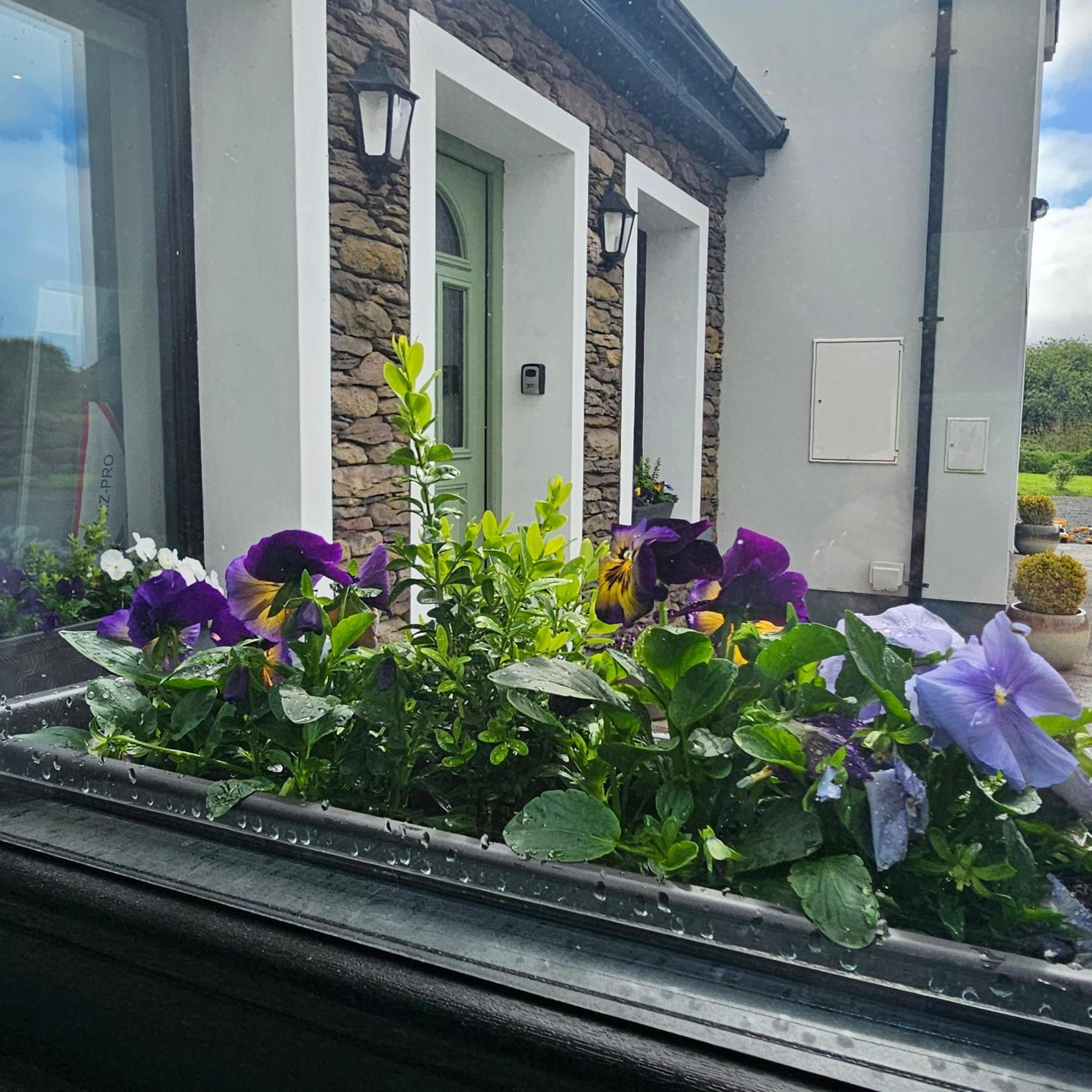 Ferienwohnung The Ce Hideout Tralee Exterior foto